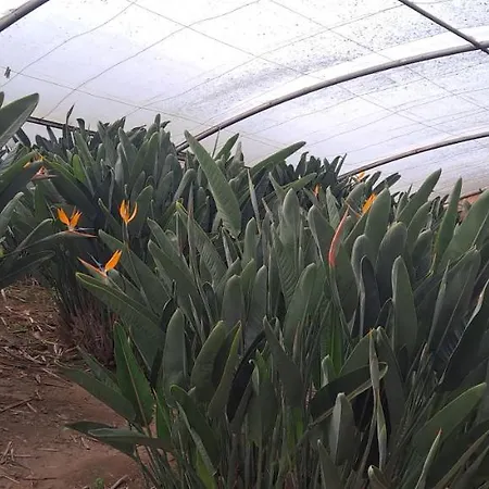 Дом отдыха Casa Da Avo Do Puto