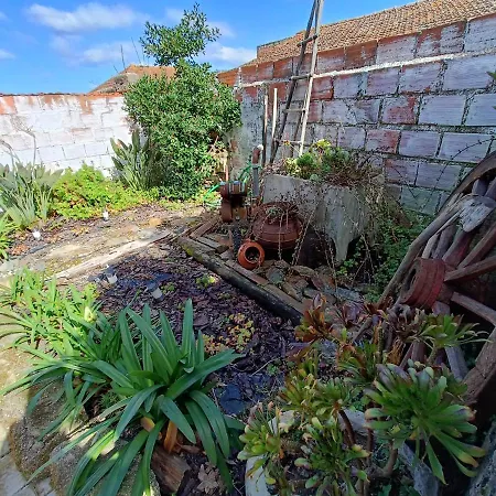 Casa Da Avo Do Puto 別荘 メアリャーダ