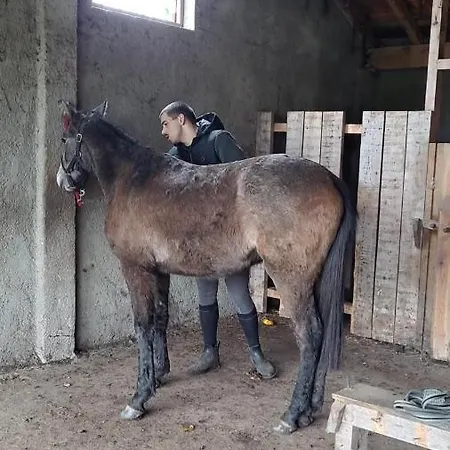 Casa Da Avo Do Puto *