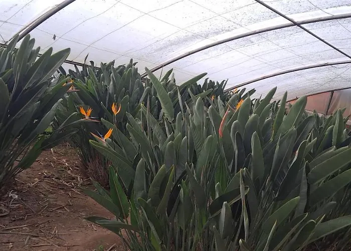 بيت للعطل Casa Da Avo Do Puto