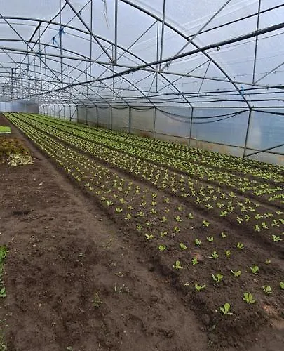 Casa Da Avo Do Puto بيت للعطل *