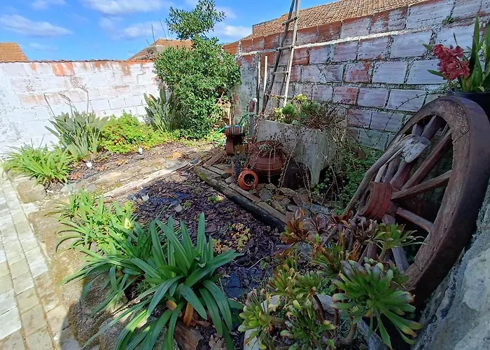 Casa Da Avo Do Puto بيت للعطل ميلادا