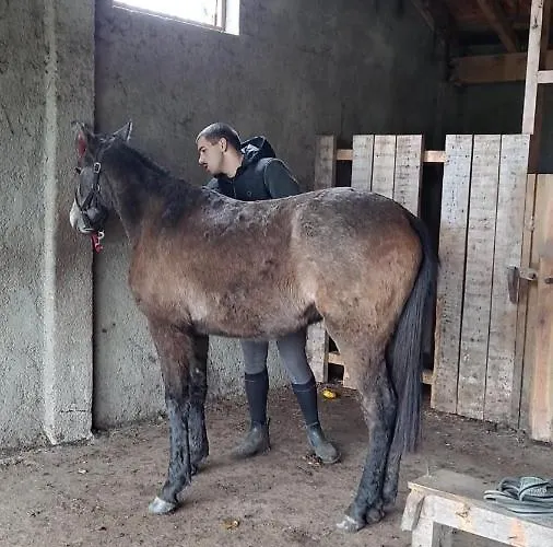 Casa Da Avo Do Puto *