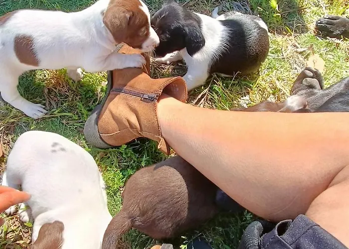 Casa Da Avo Do Puto بيت للعطل *